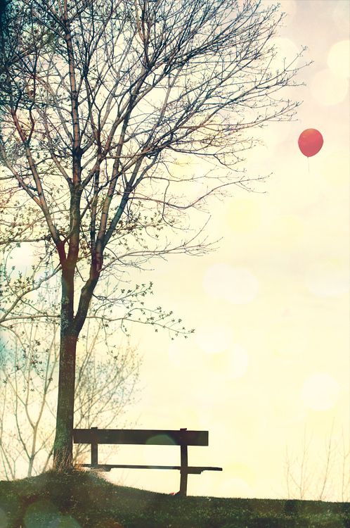 25649418b160913bd4253686218ae75b